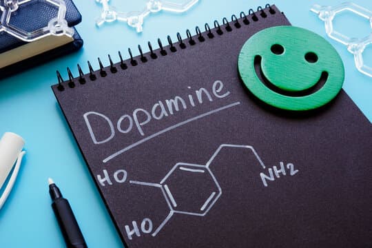 Healthy Dopamine Habits